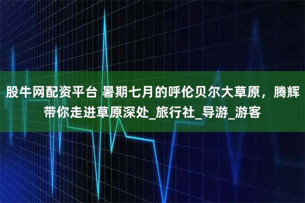 股牛网配资平台 暑期七月的呼伦贝尔大草原,腾辉带你走进草原深处_旅行社_导游_游客