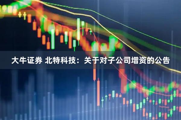 大牛证券 北特科技：关于对子公司增资的公告