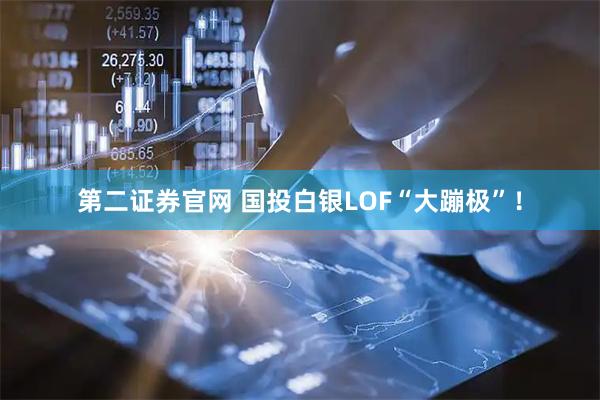 第二证券官网 国投白银LOF“大蹦极”！