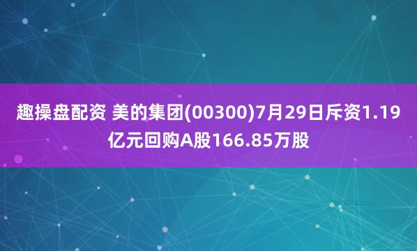 趣操盘配资 美的集团(00300)7月29日斥资1.19亿元回购A股166.85万股